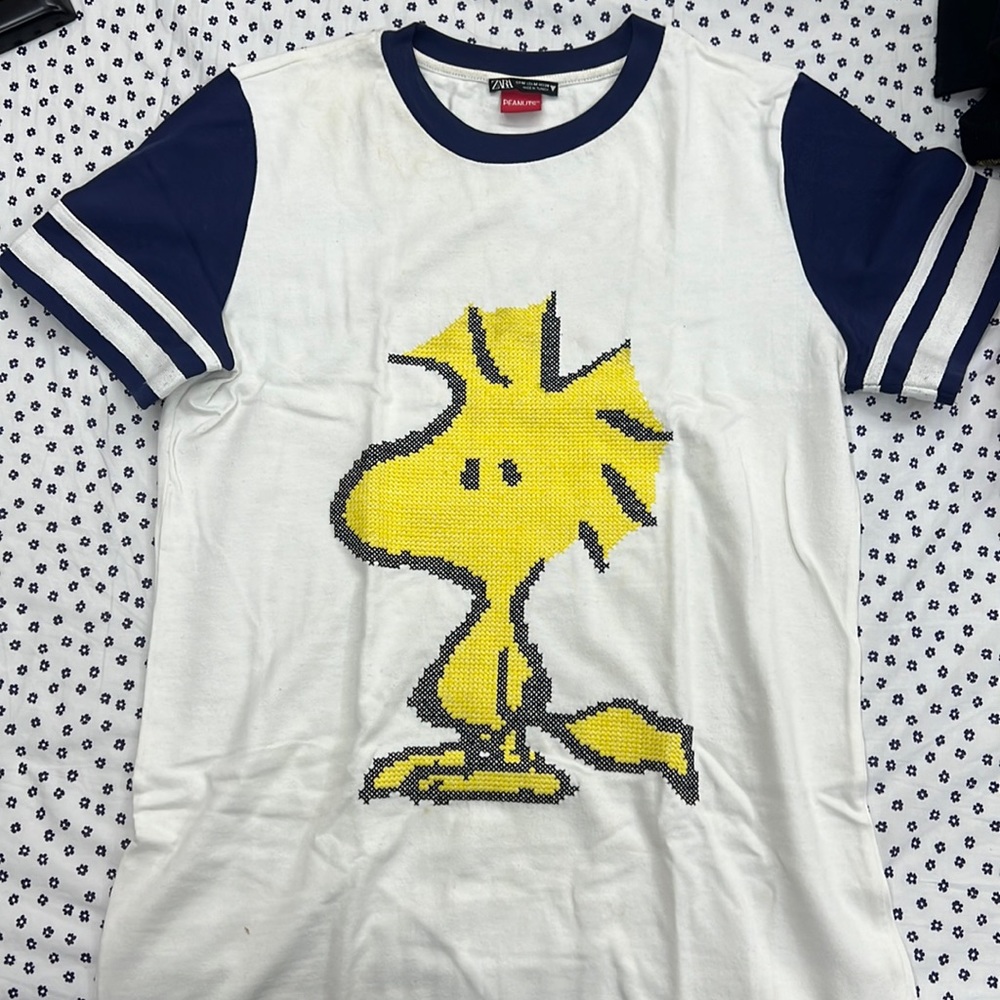 Zara short sleeve dress